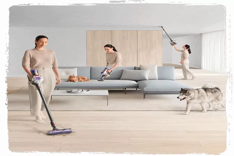Dyson v8 Handheld Vacuum pet cleaner