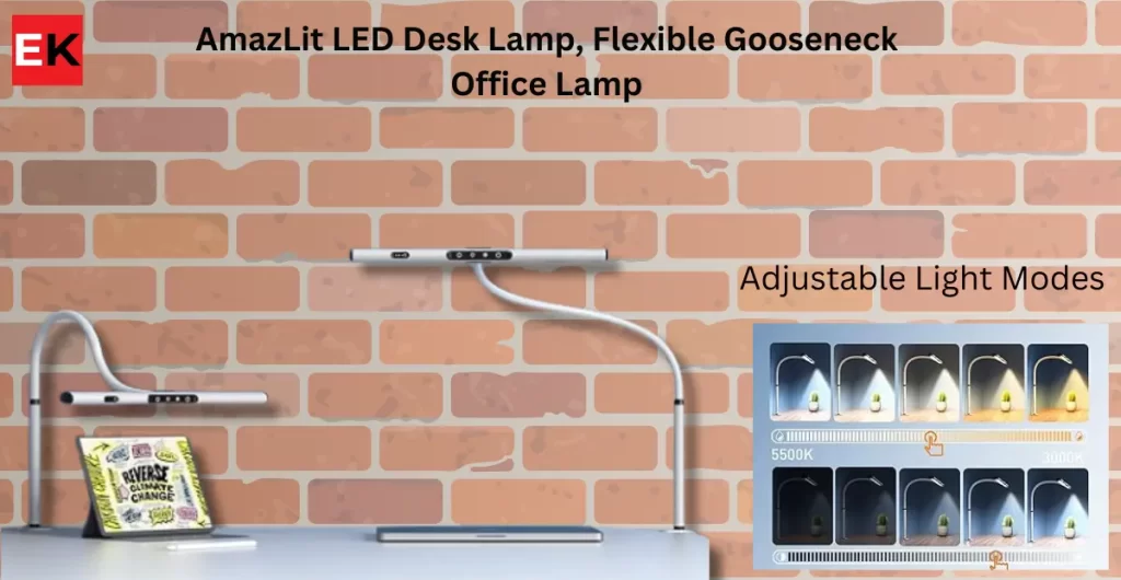 AmazLit LED Desk Lamp