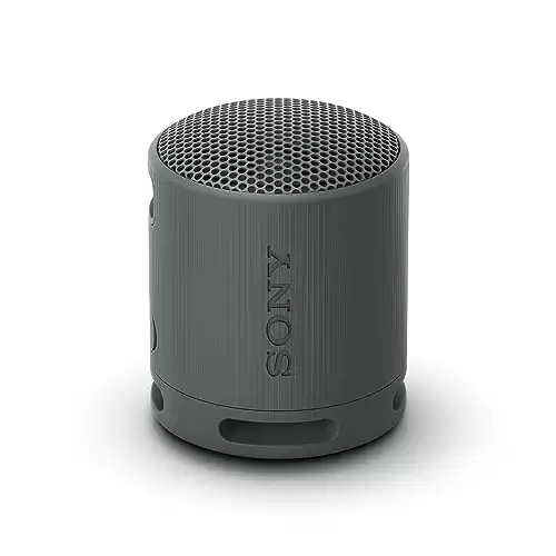Sony SRS-XB100