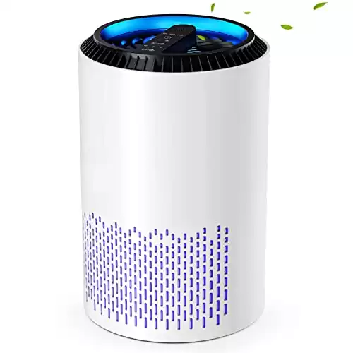 CONOPU Air Purifier