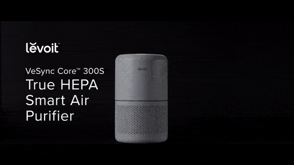 Air Purifier