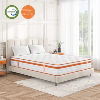 TeQsli Double Mattress